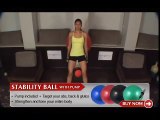 Wall Squats Exercise Ball and Medicine Ball  Fitness Republic