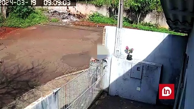 Câmera flagra mulher furtando flor em Apucarana