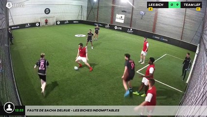 Faute de sacha delrue - Les Biches Indomptables