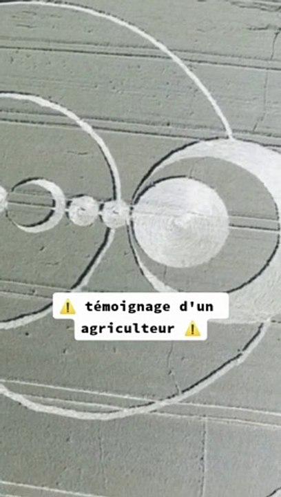 les crop circle