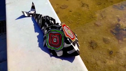 " POISSON MIGNON PREND DES COULEURS AU SOLEIL " JAK ARNOULD ©ADAGP