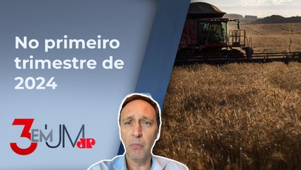 Pedidos de recuperação judicial no agro aumentam 91%; especialista comenta