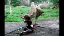 León jugando con el bebe