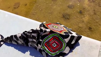 " POISSON BORDER LINE " JAK ARNOULD ©ADAGP