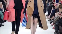 Dior ReadytoWear Collection AutumnWinter 1415 HD