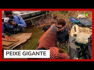 Pescador fisga pirarucu com mais de 2 metros e 130 quilos em Rondônia