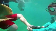 Cuando los animales atacan Pequeño tiburón ataca