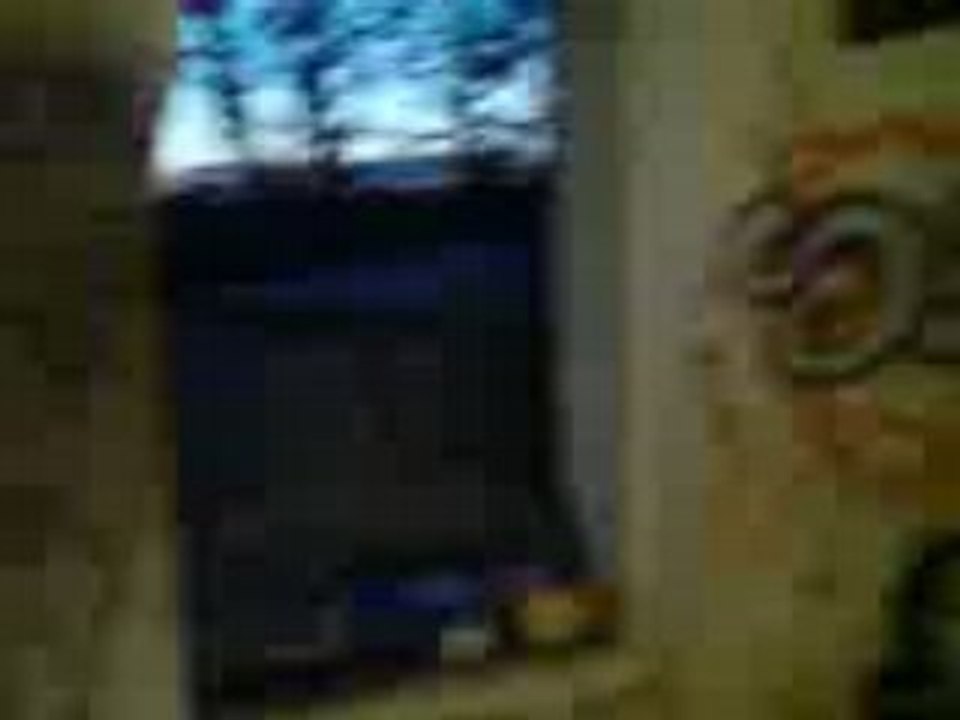 Video du lieux