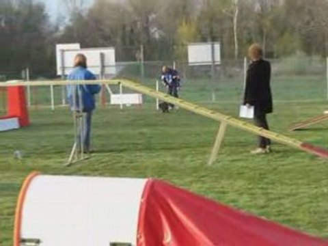 Concours agility rochemaure