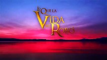 Lo Que La Vida Me Robó  Escena del día  Telenovelas