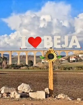 وصف ولاية باجة شمال غرب تونس