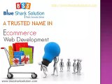 Blue Shark Solution â A trusted name in Ecommerce web development