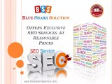 Blue Shark Solution offers exclusive SEO services at reasonable prices
