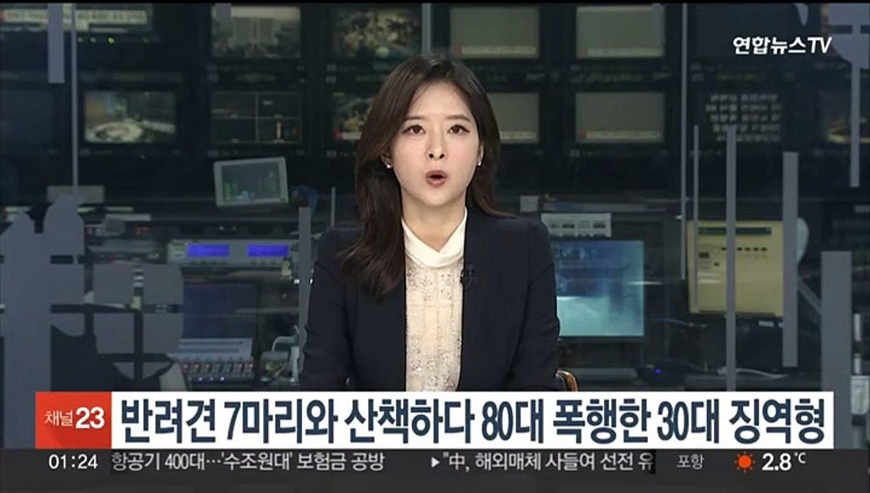 반려견 7마리와 산책하다 80대 폭행한 30대 징역형