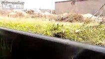 Loco graba video mientras un tren le pasa por encima