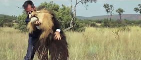 Hombre juega fútbol con leones salvajes