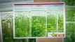 What Are The Mainly Use Of Plant Tissue Culture Media
