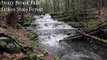 New Jersey Waterfalls: Stony Brook Falls