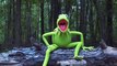 Kermit the Frog ALS Ice Bucket Challenge