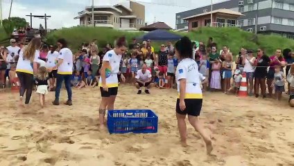 Tartaruga verde retorna ao mar na Praia Grande em Penha