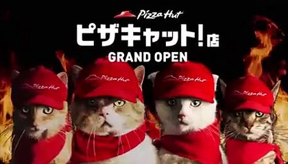 Pizza Hut Presenta Pizza Gato