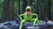 OMG  Kermit the Frog  ALS Ice Bucket Challenge