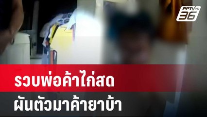 รวบพ่อค้าไก่สดผันตัวมาค้ายาบ้ายึดของกลางกว่า 2500 เม็ด| โชว์ข่าวเช้านี้ |  21 มี.ค. 67