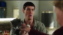 Dumb and Dumber To  Official Movie CLIP Old Apartment  2014 HD  Jim Carrey Jeff Daniels Movie