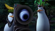 Penguins of Madagascar  Official Movie CLIP Slap Dance 2014 HD  Animated Movie