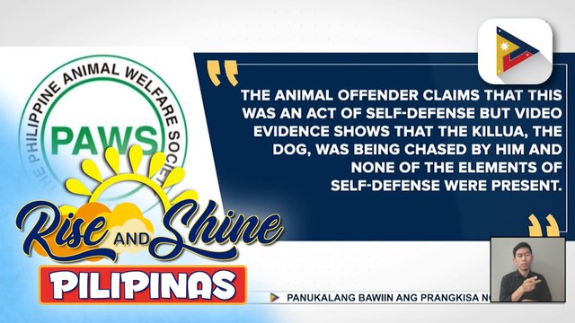 PAWS, kinondena ang pagpatay sa golden retriever na si Killua