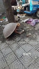 I am a Ninja turtle.