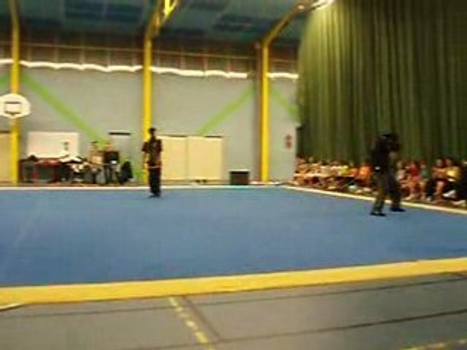vidda