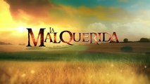 La Malquerida  Escena del día  Telenovelas Univisión