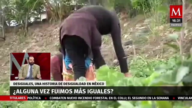 Desigualdades ; un libro de Diego Castañeda Garza que habla sobre desigualdad en México