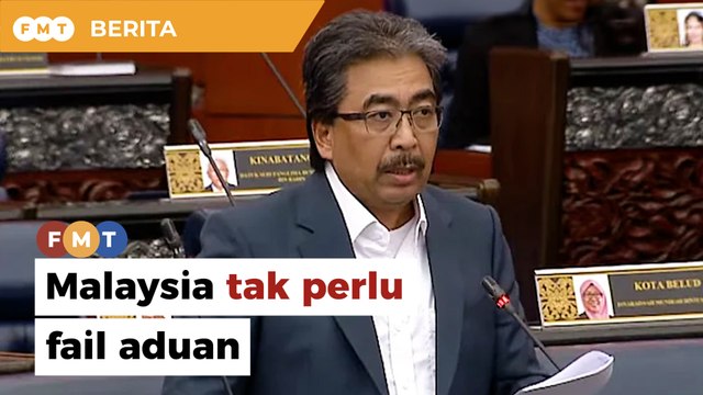 Malaysia tidak sepatutnya memfailkan aduan terhadap klasifikasi biofuel EU, kata Johari
