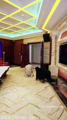 必看短剧推荐：《斗门无双》精彩续集🔥