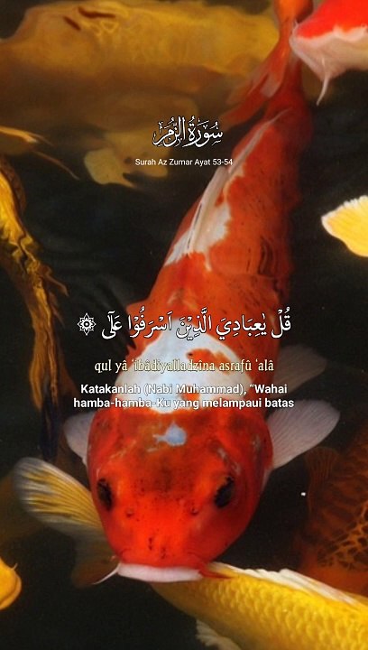 QS. Az Zumar