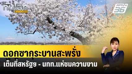 ดอกซากุระบานสะพรั่งเต็มที่ในสหรัฐฯ - นทท.แห่ชมความงาม| ทันโลก EXPRESS |  21 มี.ค. 67