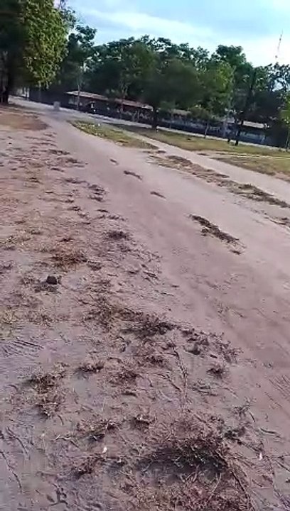 MSU DAILY VLOGS