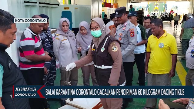 Balai Karantina Gagalkan Pengiriman Daging Tikus Ilegal di Pelabuhan Penyeberangan Gorontalo
