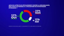 Sondage : 53% des Français sont favorables à l'utilisation de statistiques ethniques pour lutter plus efficacement contre la délinquance