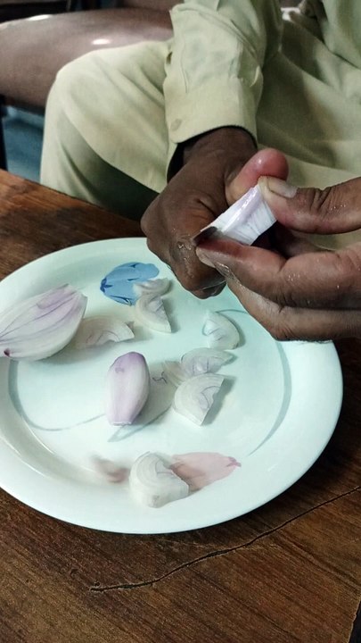Onion Cutting