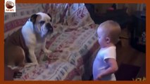 Acalorada discusión entre un bebé y su perro