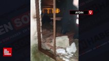 Aydın'da fuhuş operasyonunda 4 tutuklama