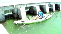 Hombre captura pez de 500 libras en su Kayak