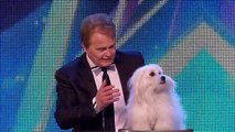 Britain's Got Talent 2015: Marc Métral and his talking dog Wendy wow the judges | Audition Week 1