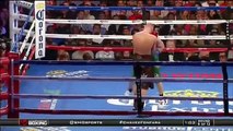 Box - Andrzej Fonfara Knocks Down Julio Cesar Chavez Jr.