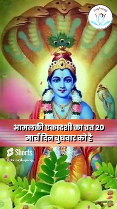 आमलकी एकादशी पर जरूर करें आंवले के ये चमत्कारी उपाय। Amalaki Ekadashi 2024, Rangbhari Ekadashi