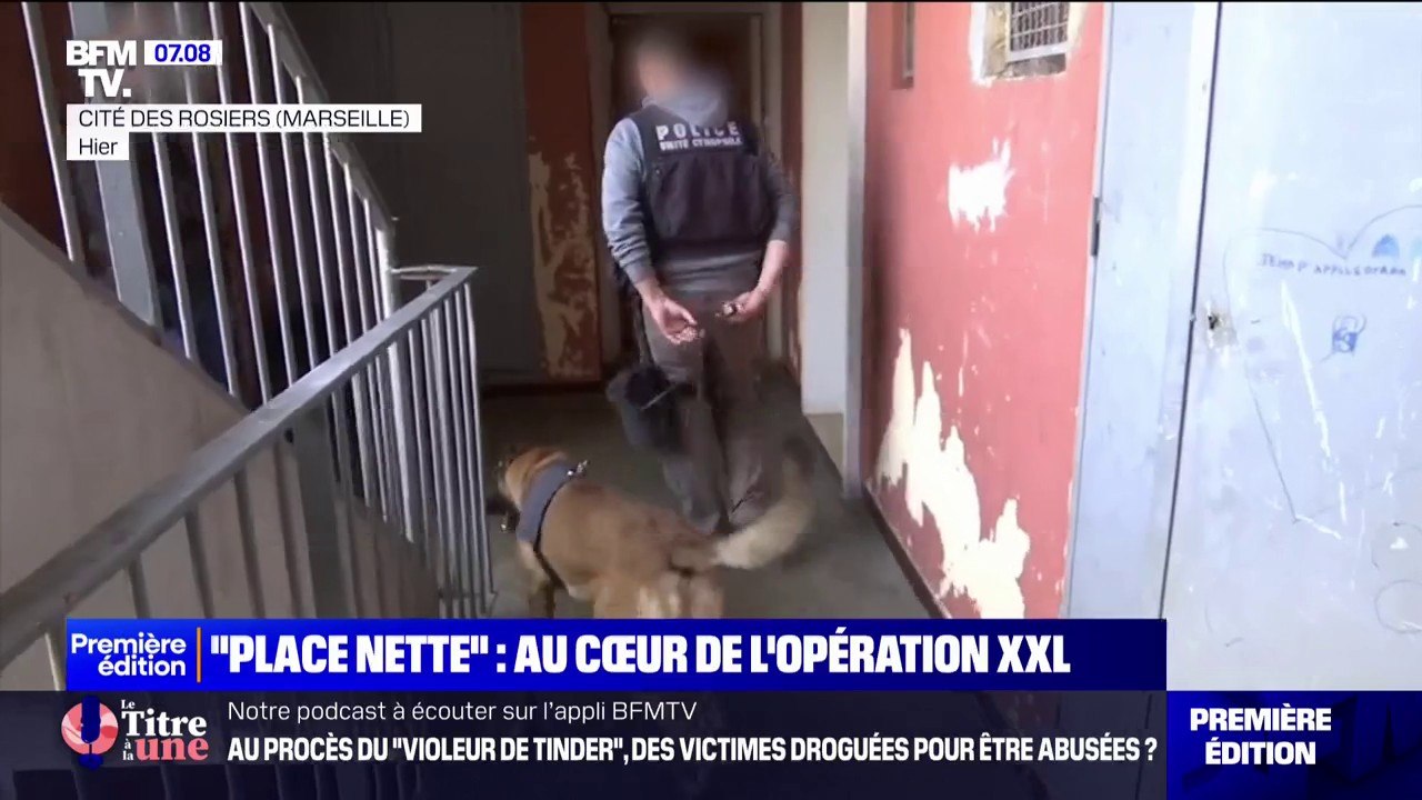 "Place nette" à Marseille: au cœur d'une opération anti-drogue dans la cité des Rosiers
