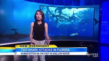 Dos mujeres de Florida atacadas por tiburones en el mismo día